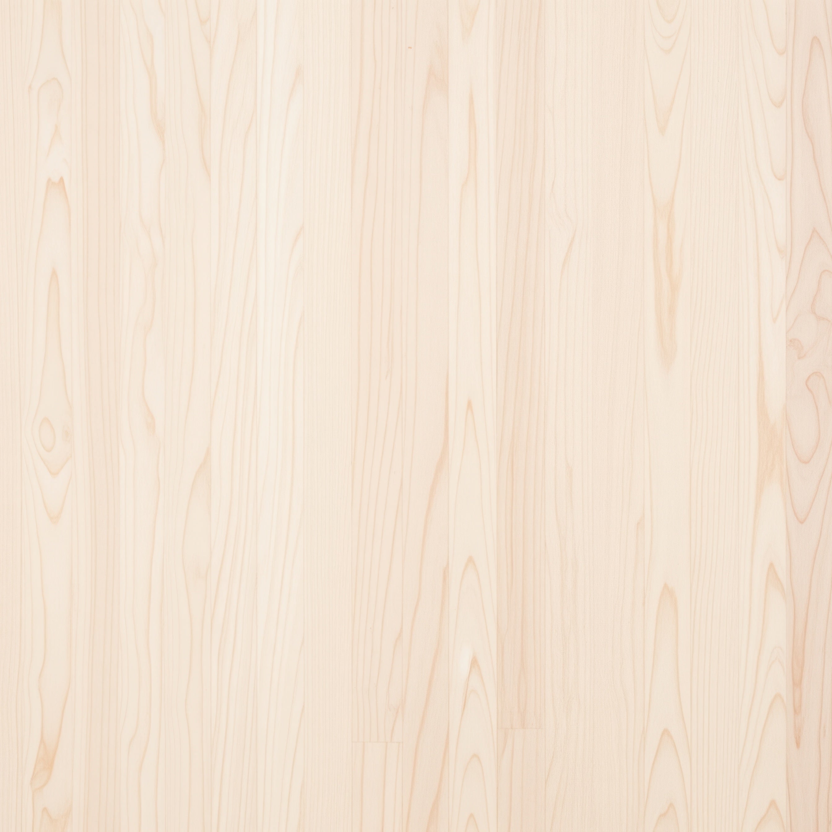 Wood and Finish Samples